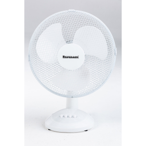 Desktop fan Ravanson WT-1030 (white) WT-1030